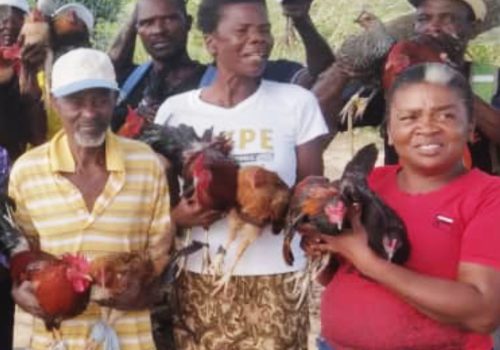 haitian-development-initiative